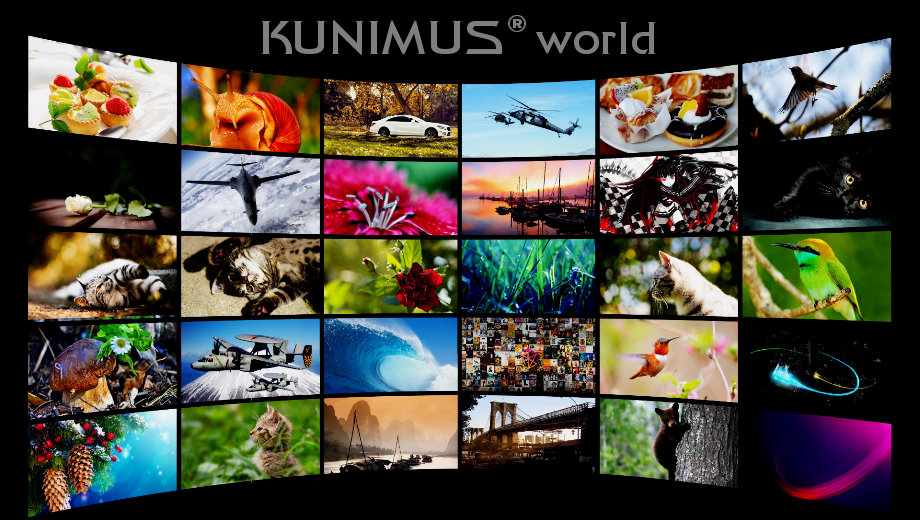 KUNIMUS Leinwand